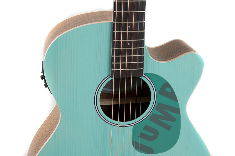 Фото Гитара электроакустическая APPLAUSE AEO69-T Celeste