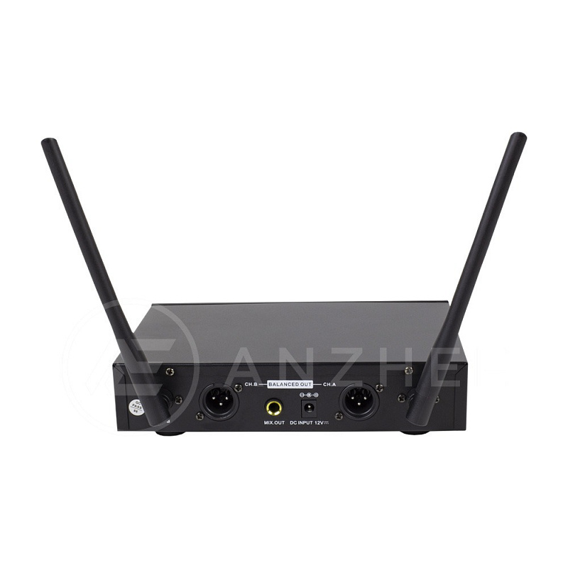 Фото Радиосистема Anzhee RS200 dual HH