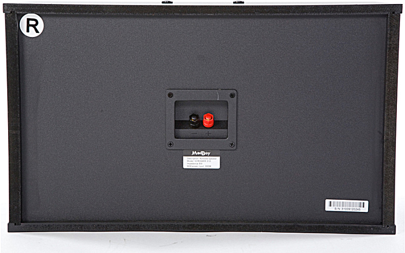 Фото Пассивная акустическая система Madboy SCREAMER 310