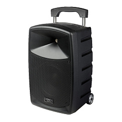 Активная акустическая система Denon DN-ENVOI