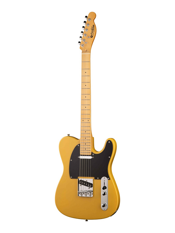 Фото Электрогитара Prodipe TC80MA JMFTC80MABS