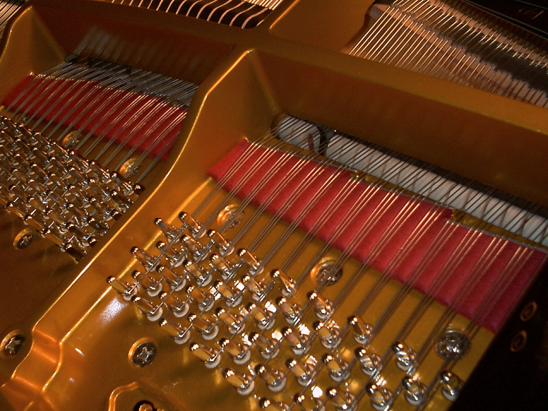 Фото Акустический рояль KAWAI SK-3LA M/PEP