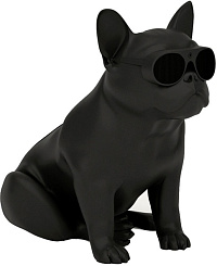 Портативная акустическая система AEROSYSTEM Aerobull HD1 Matt black