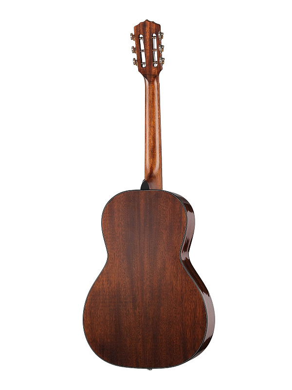 Фото Акустическая гитара Shadow P-M