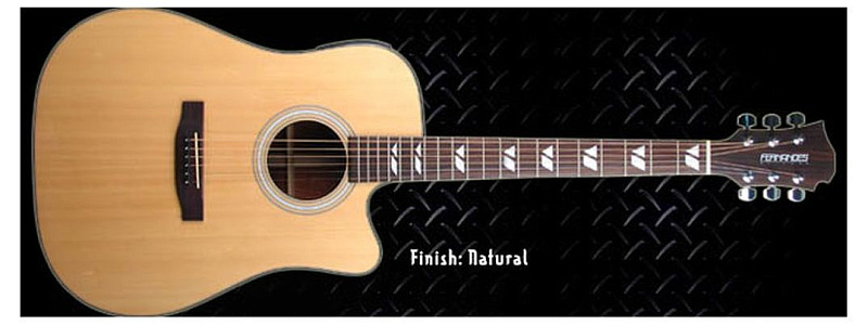 Фото FERNANDES PD18CEQ N