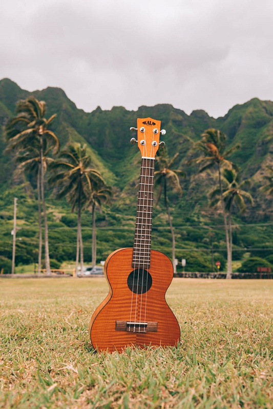 Фото KALA KA-CEM Kala Concert Exotic Mahogany Ukulele