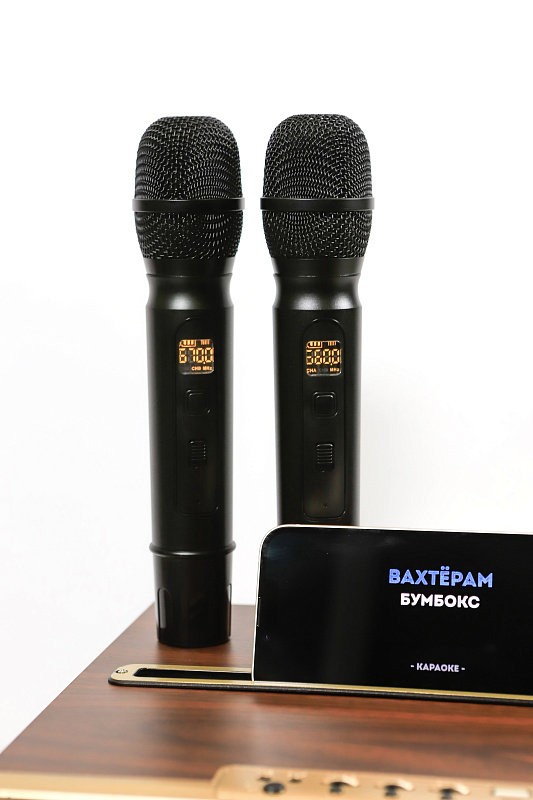 Фото Караоке с встроенной акустической системой MH Technologies Q13 PL