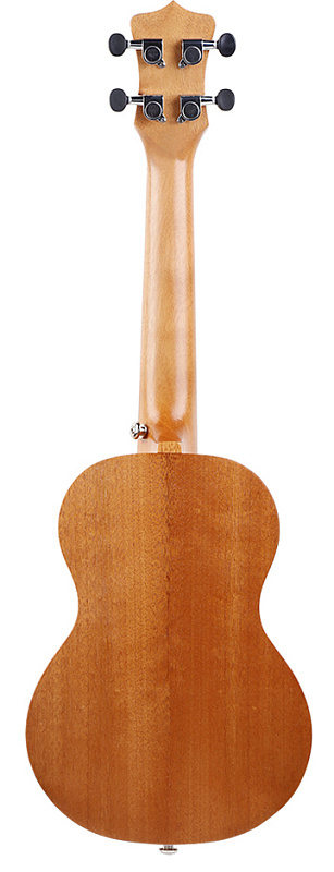 Фото Enya EUC-25D