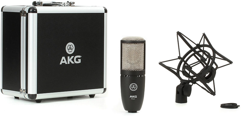 Фото AKG P220