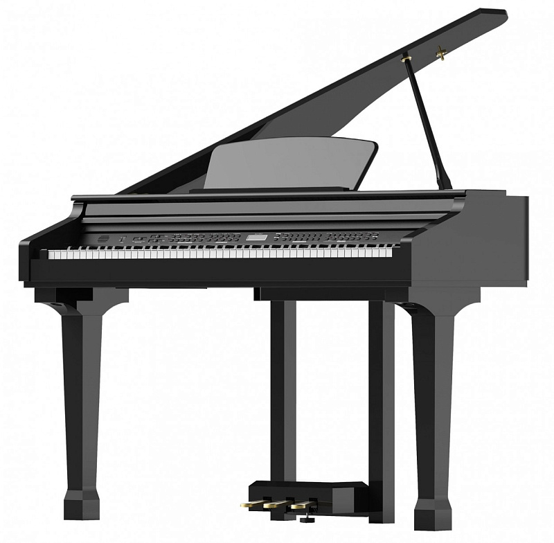 Фото Ringway GDP1120 Black