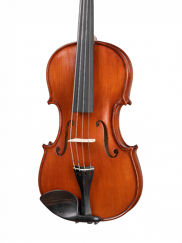 Фото Скрипка Gliga AW-V044 Workshop Gems 1 4/4