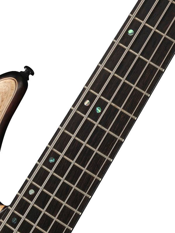 Фото Бас-гитара Cort A5-Ultra-Ash-WCASE-ENB Artisan Series