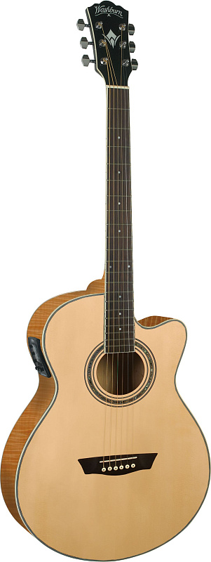 Фото WASHBURN EA20