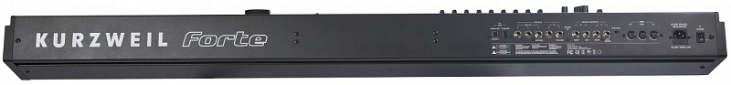Фото Kurzweil Forte