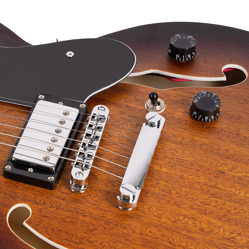 Фото Электрогитара EART E-335 Brown Sunburst