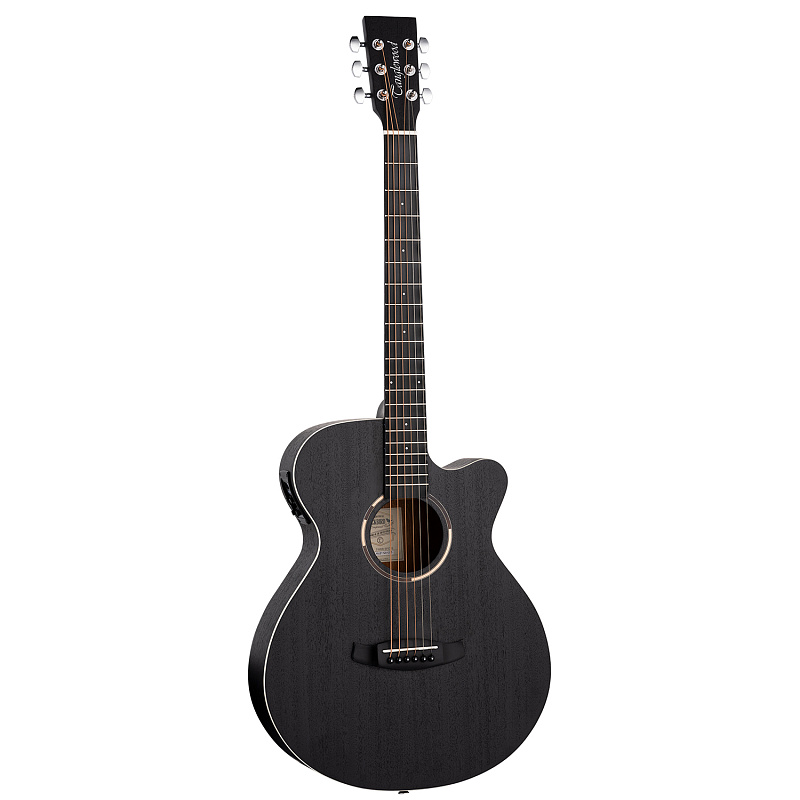 Фото Электро-акустическая гитара Tanglewood TWBB SFCE