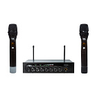 Онлайн караоке MadVoice Shaker 2