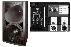 Активная акустическая система Yorkville U15P (CE)