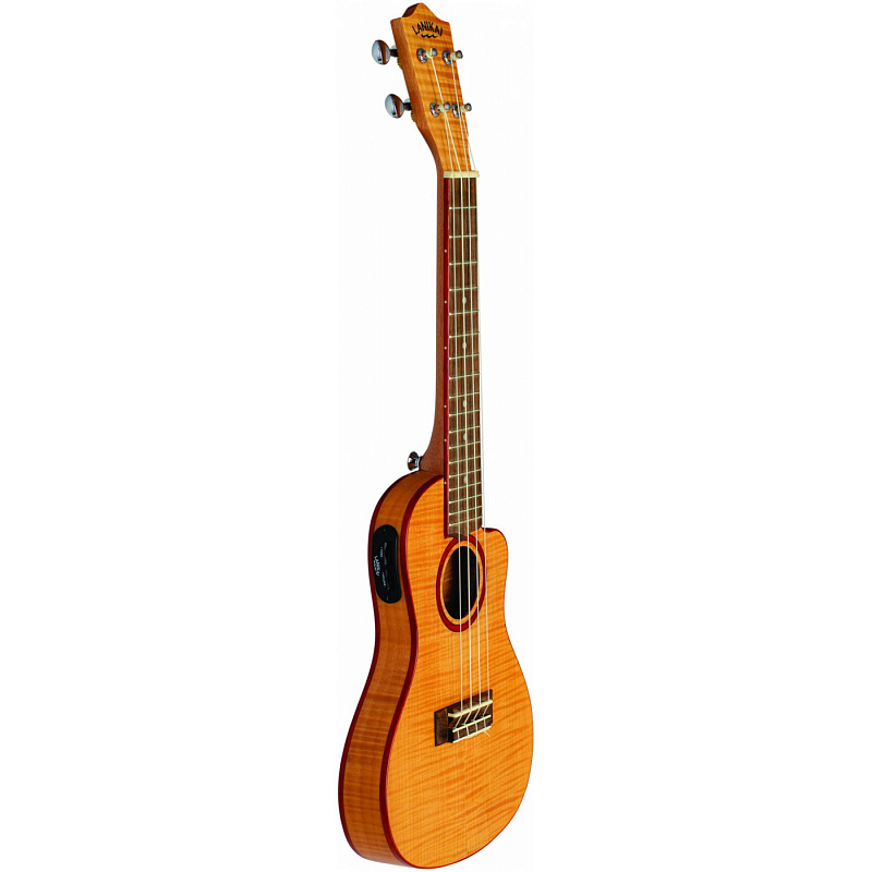 Фото Укулеле концерт LANIKAI FM-CETC