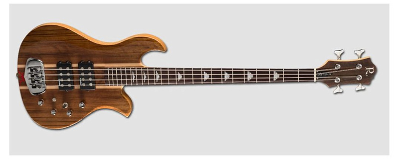 Фото B. C. RICH GWSE4K