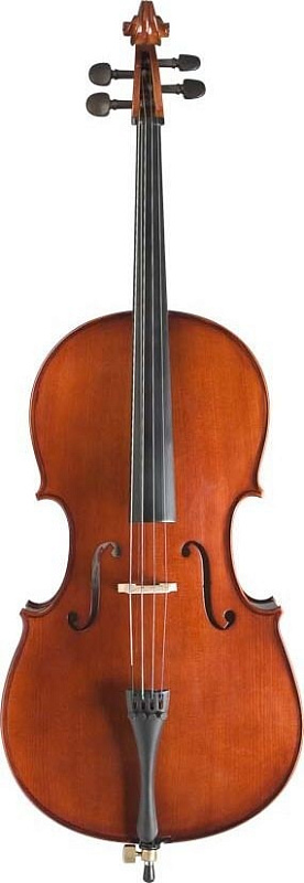 Фото Виолончель STAGG VN 3/4