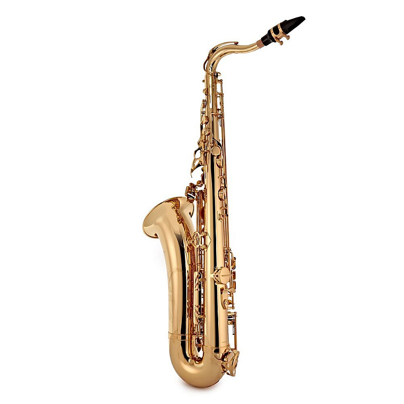 Тенор саксофон Trevor James SR EVO 384SE-KKIM в магазине Music-Hummer