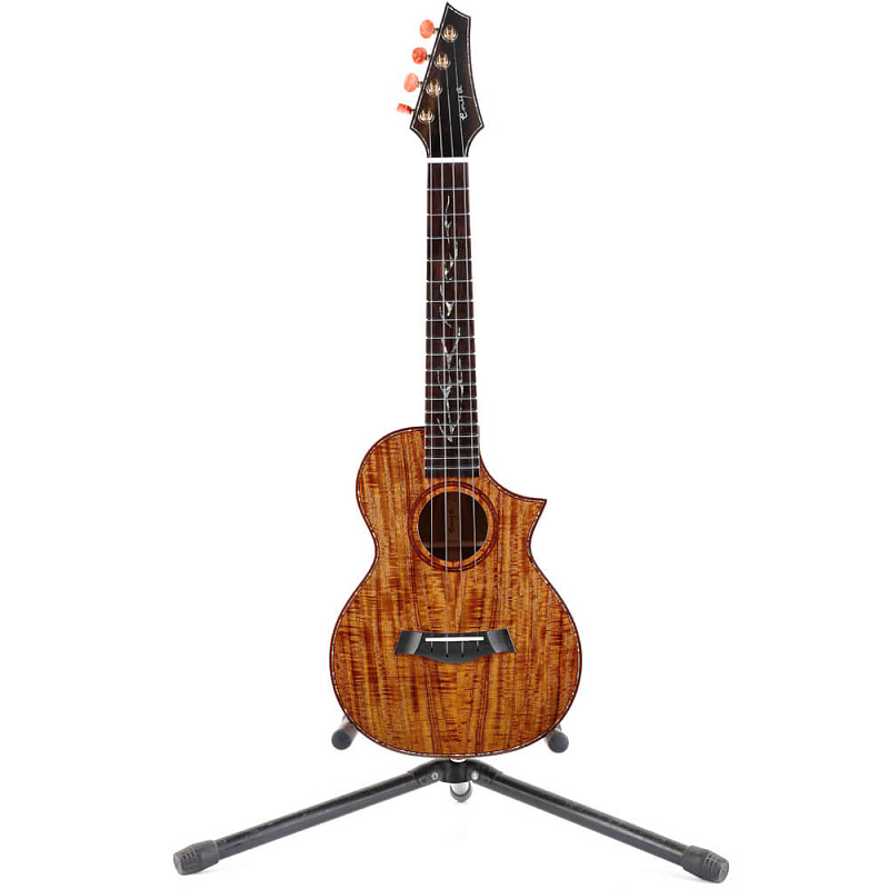 Фото Enya EUT-K6