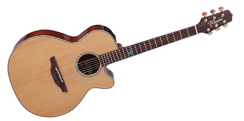 Фото TAKAMINE LEGACY TSF40C