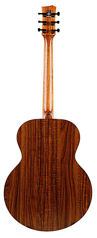 Фото Enya EM-X1+