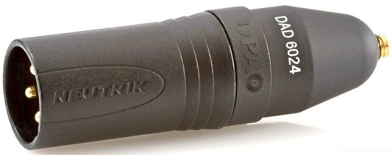 Фото DPA DAD6024