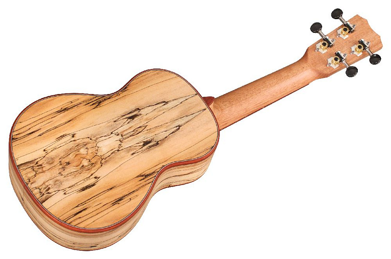 Фото CORDOBA 24S Spruce