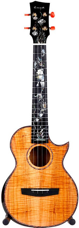 Фото Enya EUT-A8