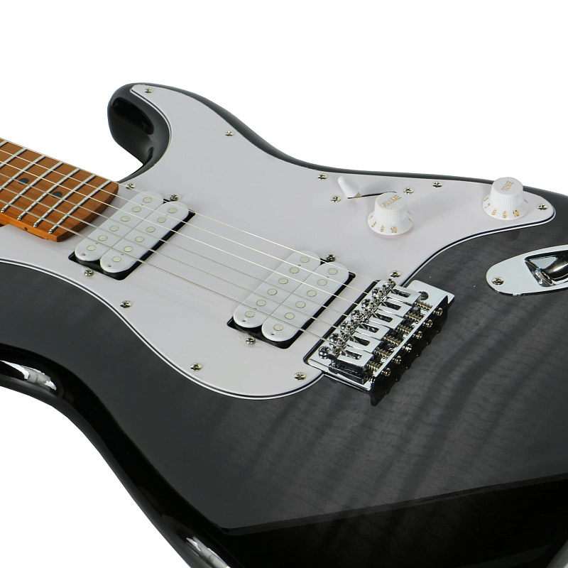 Фото Электрогитара Bosstone SG-04 V.2 HH TGBK (2025)