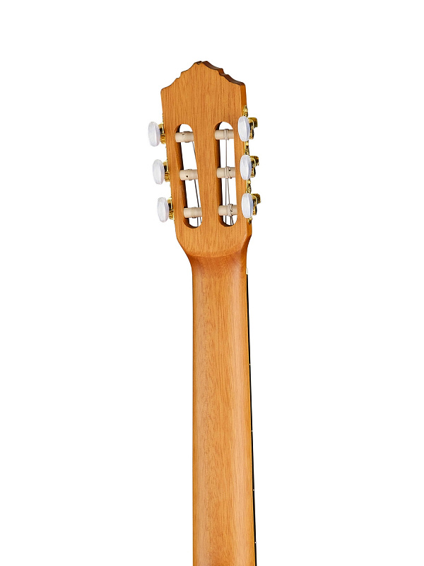 Фото Классическая гитара Ortega RCE131 Family Series Pro 