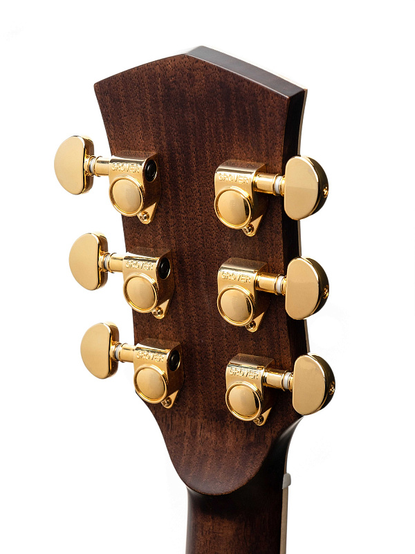 Фото Акустическая гитара P810ADK-WCASE-NAT Parkwood