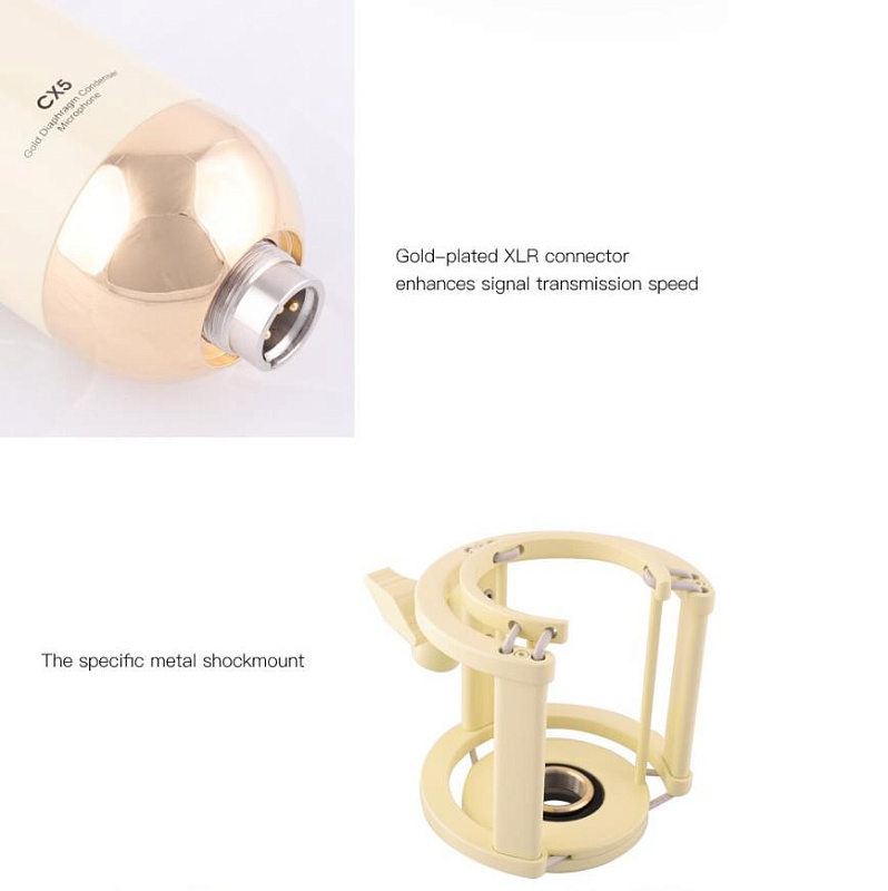 Фото Микрофон Alctron CX5