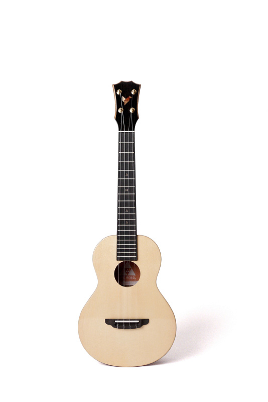 Фото REBEL Double Cheese T