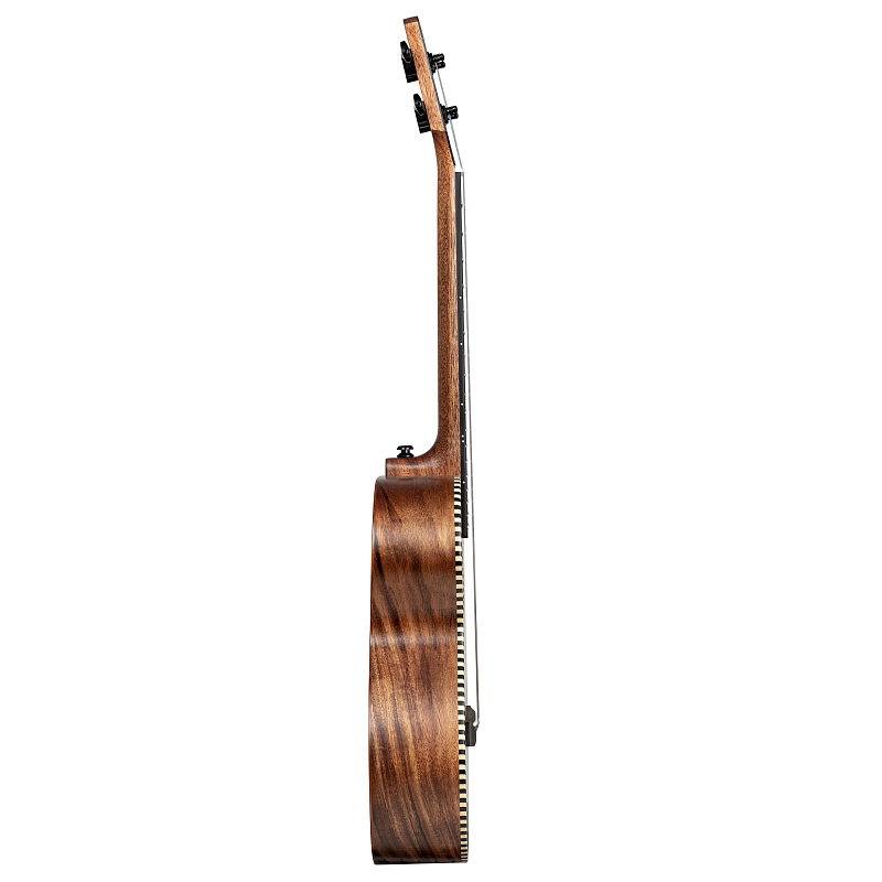 Фото Укулеле Cascha HH-2311 Acacia Series тенор