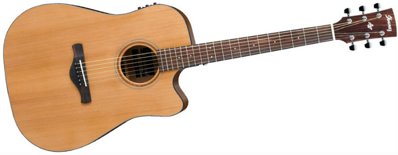 Фото IBANEZ AW65ECE-LG