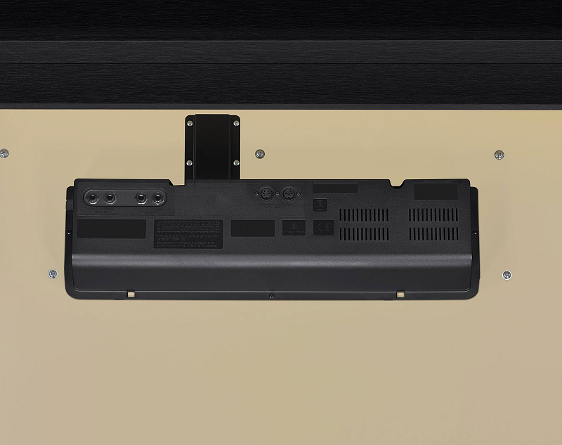 Фото Casio Celviano GP-310BK