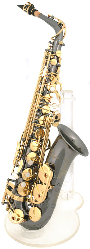 Antigua 3100 BQ альт саксофон в магазине Music-Hummer